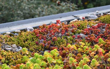 the cost of Scurlage green roof installation