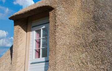 Scurlage thatch roof disadvantages